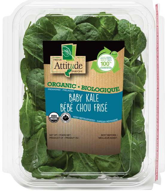 Organic Baby Kale
