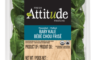 Organic Baby Kale 5 oz