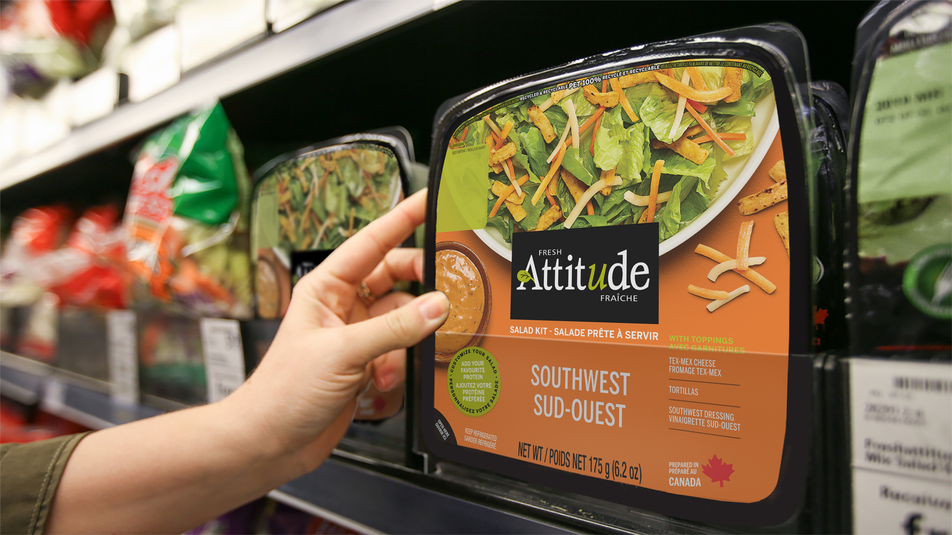 Fresh salad in a grocery store, packaged